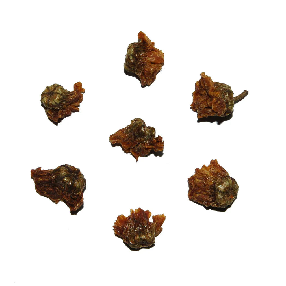Chrysanthemum Blossom Tisane [pyramid sachets]